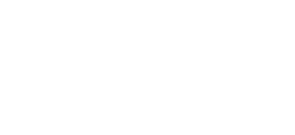 Data Conect